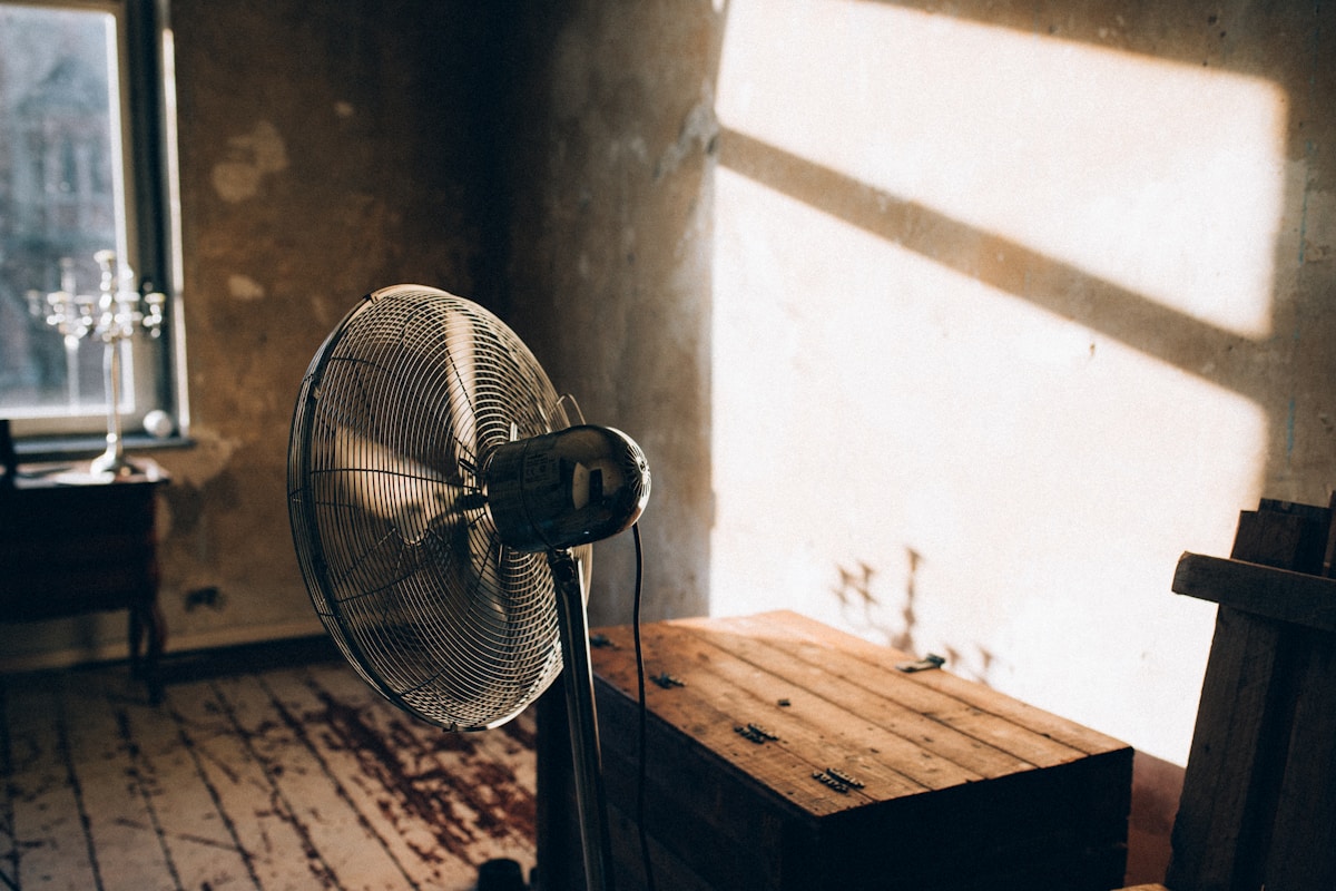 Mold Remediation service in Phoenix, AZ